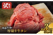 訳あり 牛タン やわらか 厚切り 牛タン 塩仕込み 計3kg 500g×6p 配送不可 沖縄・離島