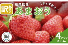【朝倉市制施行20周年記念企画】 訳あり いちご 2026年3月中旬より発送 あまおう サイズ色々 4パック 約1.14kg 配送不可 離島 果物 フルーツ 福岡県産あまおう