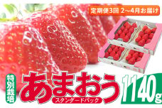 定期便 3回 いちご 発送時期 2026年2月～4月 うるう農園のあまおう スタンダード4パック 約1.14kg 配送不可 離島 果物類 フルーツ 安心 安全 美味しい 食べやすい 