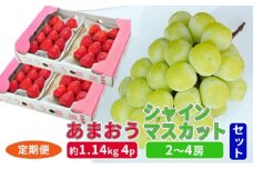 定期便 2回 2025年 いちご シャインマスカット セット あまおう スタンダード 4パック 約1.14kg シャインマスカット 2～4房 約1.2kg 配送不可 離島