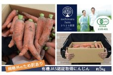 訳あり 規格外 にんじん 約5kg 有機JAS認証取得 栽培期間中農薬 除草剤 化学肥料不使用