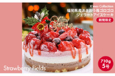アイス ケーキ  5号 2023年 クリスマス 限定 Strawberry Fields 福岡産 あまおう いちご 苺 ゴロゴロジェラート アイスケーキ お菓子 ジェラート 配送不可 離島 オンライン決済限定