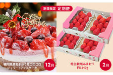 定期便 2回 2024年 クリスマス 限定 福岡産 あまおう 苺 ゴロゴロジェラート アイスケーキ 5号＆あまおう スタンダード 4p 約1140g 配送不可 離島 オンライン決済限定