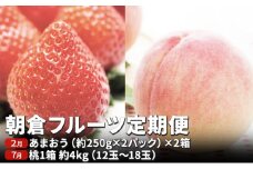 定期便 フルーツ 2回 限定 数量 いちご 約1kg もも 約4kg フルーツ定期便 朝倉 2024年発送 お届け 桃 モモ イチゴ あまおう 果物 くだもの デザート お楽しみ オンライン決済限定 配送不可：離島