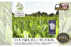 定期便 6ヶ月 お茶 煎茶 八女茶 100g×1袋 奥八女 星野村 高級 深蒸し 茶 星野茶 緑茶 6回 コース お楽しみ