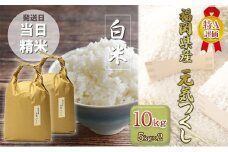 米 10kg 元気つくし 福岡県産 特A評価 お米 5kg×2袋 白米 コメ 福岡県