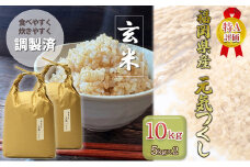 玄米 10kg 元気つくし 福岡県産 特A評価 お米 5kg×2袋 米 コメ 福岡県