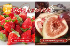 定期便 2回 あまおう いちじく セット いちご 18粒～30粒 とよみつひめ 700g～850g 果物 フルーツ 配送不可:北海道 東北 沖縄 離島