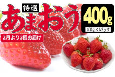 定期便 3ヶ月 いちご あまおう 400g 特選 あまおう 2026年2月より発送 イチゴ 苺 フルーツ 果物 デザート 3回 お楽しみ ※配送不可：離島 