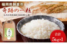 米 5kg 恵つくし 奇跡の一粒 5kg×1 令和6年産 お米 こめ コメ 新品種