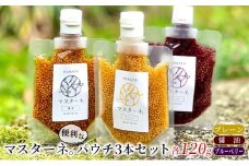 調味料 マスタード 3本 セット マスターネ。 プレーン 醤油 ブルーベリー 各120g パウチ 食べ比べ ※配送不可:離島