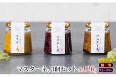 調味料 マスタード 3本 セット マスターネ。 プレーン 醤油 ブルーベリー 各120g 瓶 食べ比べ ※配送不可:離島