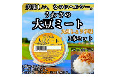大豆 加工品 うわさの大豆ミート 九州しょうゆ味 80g×3本 セット 健康 ヘルシー