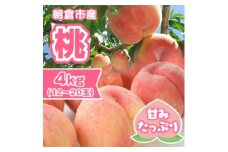 桃 朝倉市産 約4kg 12～20玉 もも モモ 果物 デザート ※配送不可：離島