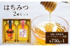 はちみつ セット 2種 高麗人参蜂蜜漬・ローヤルゼリー入り蜂蜜 各750g×1 ハチミツ 蜂蜜 健康 KS-60