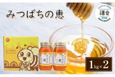 はちみつ みつばちの恵 1kg×2 バラエティボックス入 ハチミツ 蜂蜜