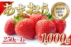 いちご 福岡県産 あまおう 1000g (250g×4パック) 先行予約 2024年12月より順次発送 果物 デザート ※配送不可：離島