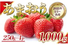 いちご 福岡県産 あまおう 1000g (250g×4パック) 先行予約 2025年1月より順次発送 果物 デザート ※配送不可：離島