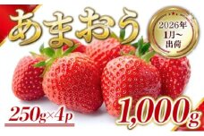 いちご 福岡県産 あまおう 1000g (250g×4パック) 先行予約 2026年1月より順次発送 果物 デザート ※配送不可：離島