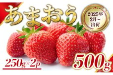いちご 福岡県産 あまおう 500g (250g×2パック) 先行予約 2025年2月より順次発送 果物 デザート ※配送不可：離島