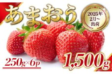 いちご 福岡県産 あまおう 1500g (250g×6パック) 先行予約 2025年2月より順次発送 果物 デザート ※配送不可：離島