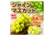 シャインマスカット 約1.4kg (350g×4p) 朝倉市産 シャイン マスカット ぶどう ブドウ 果物 葡萄 デザート ※配送不可：離島