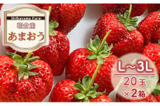 いちご 朝倉市産 あまおう L～3L 20玉×2箱 イチゴ 苺 果物 デザート ＜Shibayama Farm＞ ※配送不可：離島