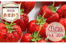 いちご 朝倉市産 あまおう 4L以上 16玉～20玉 イチゴ 苺 果物 デザート ＜Shibayama Farm＞ ※配送不可：離島