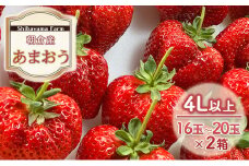 いちご 朝倉市産 あまおう 4L以上 16玉～20玉×2箱 イチゴ 苺 果物 デザート ＜Shibayama Farm＞ ※配送不可：離島