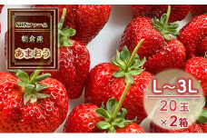 いちご 朝倉市産 あまおう L～3L 20玉×2箱 イチゴ 苺 果物 デザート ＜SHINファーム＞ ※配送不可：離島