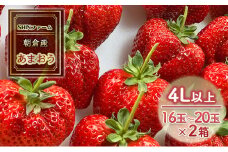 いちご 朝倉市産 あまおう 4L以上 16玉～20玉×2箱 イチゴ 苺 果物 デザート ＜SHINファーム＞ ※配送不可：離島
