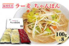 ちゃんぽん 福岡県産 ラー麦ちゃんぽん 1ケース 麺