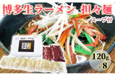 ラーメン ラー麦 博多 生ラーメン 担々麺 1ケース 麺