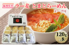 ラーメン 福岡県産 ラー麦 とまとらーめん 1ケース 麺