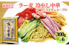 冷やし中華 福岡県産 ラー麦 1ケース ゴマダレスープ付 麺