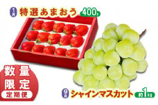 数量限定 定期便 2回 うるう農園 特選 あまおう 400g ゆう美果樹園 シャインマスカット 1～3房 約1kg いちご シャイン セット ※配送不可：離島