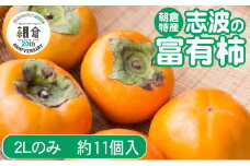 【朝倉市制施行20周年記念企画】 柿 志波の富有柿 2Lサイズのみ×約11個入 ゆう美果樹園 ※配送不可：離島