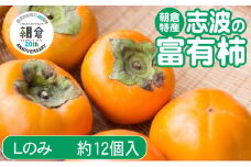 【朝倉市制施行20周年記念企画】 柿 志波の富有柿 Lサイズのみ×約12個入 ゆう美果樹園 ※配送不可：離島
