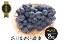 朝倉産 ベリーA 2kg フルーツ 果物 くだもの 筑前あさくら農協 発送予定：2026年7月下旬～8月上旬 ※配送不可：北海道、沖縄、離島