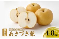 梨 朝倉産 あきづき梨 4.8kg（10～16玉入） ナシ フルーツ 果物 くだもの 筑前あさくら農協 発送予定：2025年8月下旬～9月上旬 ※配送不可：北海道、沖縄、離島