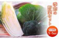 野菜 季節の野菜セット 季節 冬 旬 野菜セット 福岡県 朝倉市