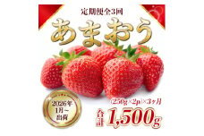 定期便 3ヶ月 福岡県産 あまおう 合計1500g 先行予約 2026年1月より順次発送 いちご イチゴ 苺 果物 3回 ※配送不可：離島