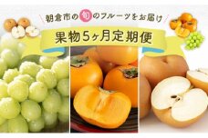 定期便 5ヶ月 果物 先行予約 2025年7月より順次発送 シャインマスカット 梨 柿 果物 ※配送不可：離島
