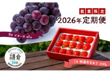 【朝倉市制施行20周年記念企画】 定期便 2回 うるう農園 2026年1月発送 特選 あまおう 400g ゆう美果樹園 2026年9月発送 ピオーネ 1～3房 約1kg いちご ピオーネ セット ※配送不可：離島