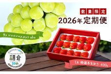 【朝倉市制施行20周年記念企画】 定期便 2回 うるう農園 2026年1月発送 特選 あまおう 400g ゆう美果樹園 2026年9月発送 シャインマスカット 1～3房 約1kg いちご シャイン セット ※配送不可：離島