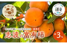 【朝倉市制施行20周年記念企画】  訳あり 志波の富有柿 約3kg 柿 ※配送不可：離島