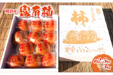 柿 富有柿 約2.5kg～3kg かき 果物 フルーツ デザート 配送不可：離島 