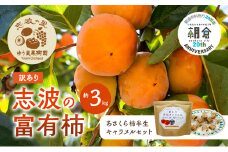 【朝倉市制施行20周年記念企画】 訳あり 富有柿 約3kg＆柿の半生キャラメル セット ※配送不可：離島