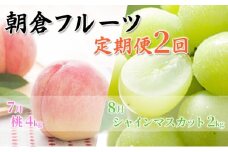 限定 数量 定期便 2回 桃 シャインマスカット 2026年 発送 フルーツ 夏のフルーツ定期便 果物 もも モモ マスカット デザート 朝倉 ※配送不可 離島