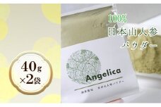★希少★日本山人参（葉と茎の粉末） 2袋